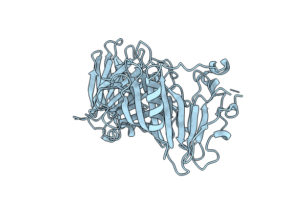 8IP2 image