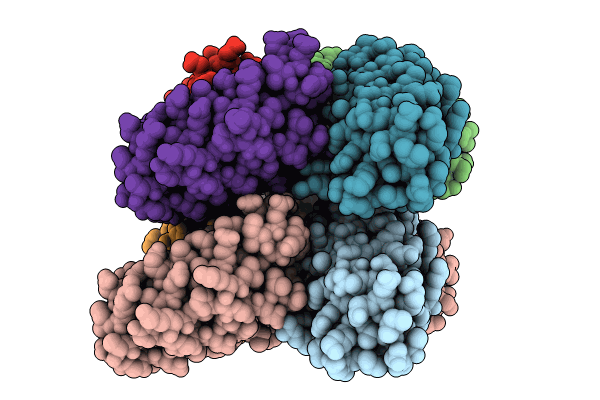 8IPF image