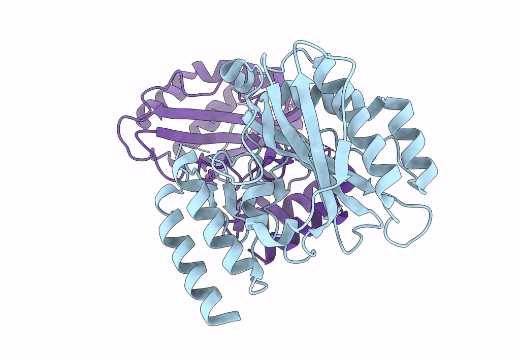 8IQB image