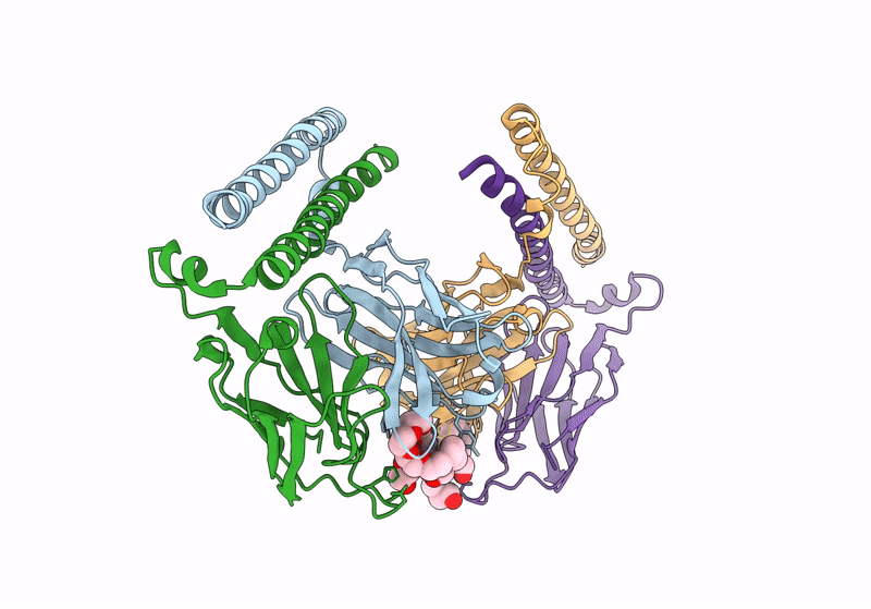 8IQP image