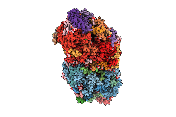 8IRB image