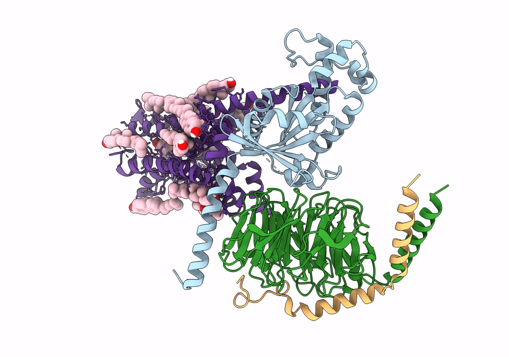 8IRV image