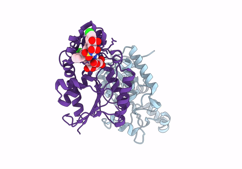 8ITC image