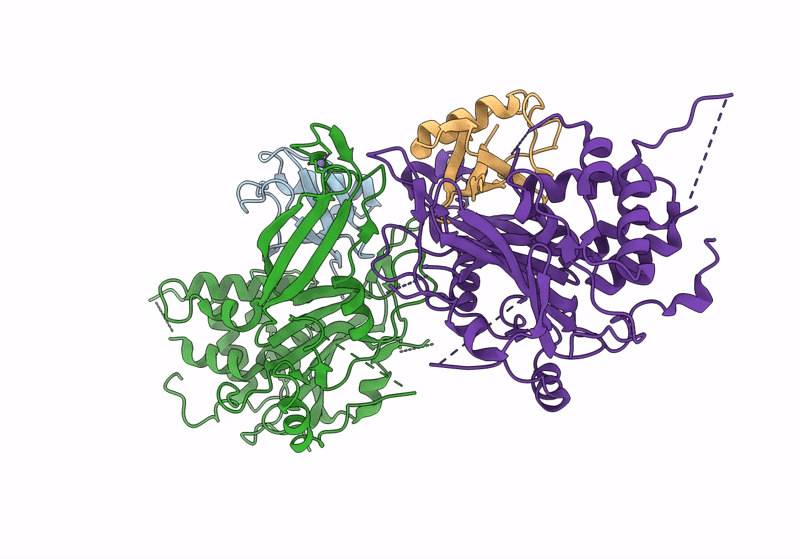 8ITP image