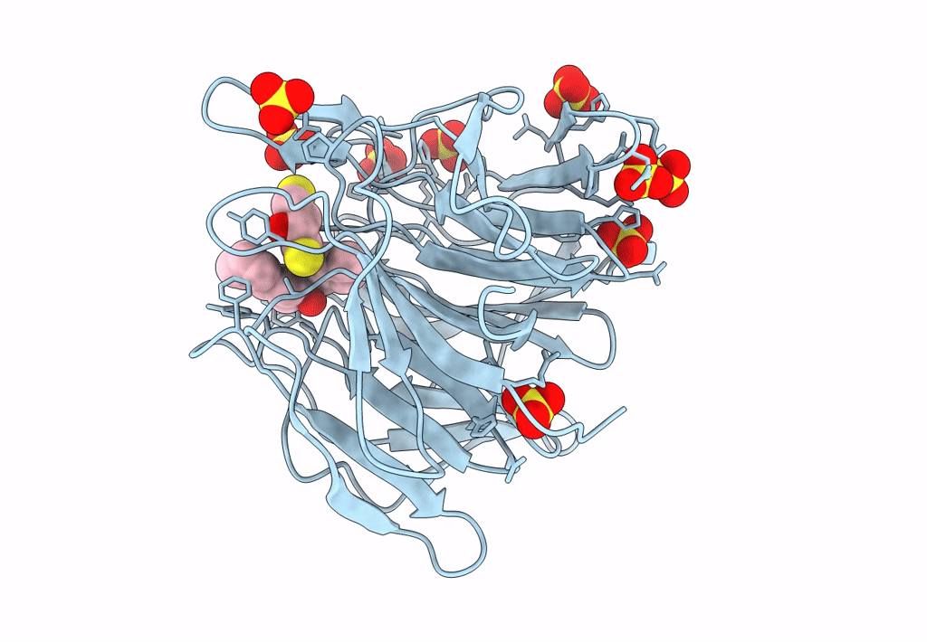 8IVG image