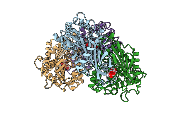 8IVP image