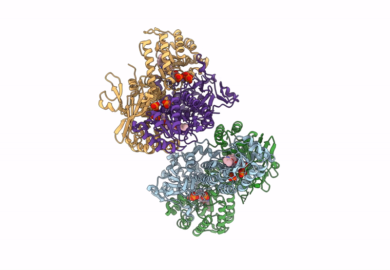 8IVU image