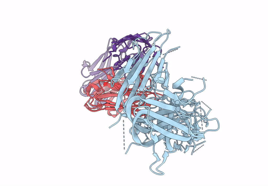 8IVX image