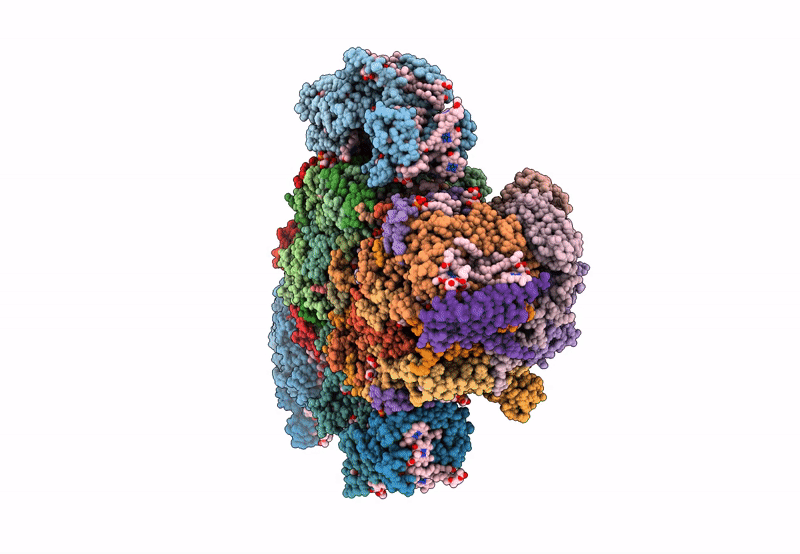 8IWH image