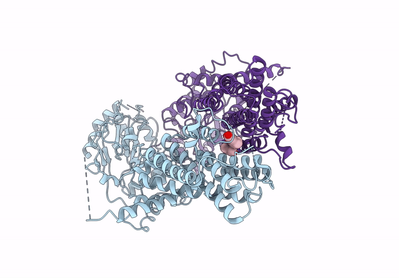 8IWK image