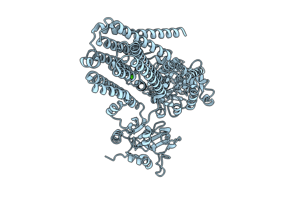 8IWP image
