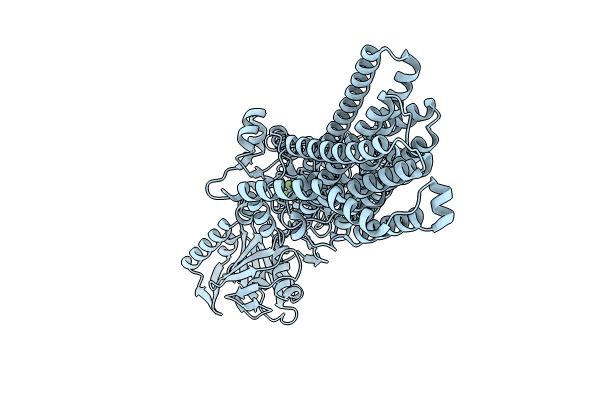 8IWT image