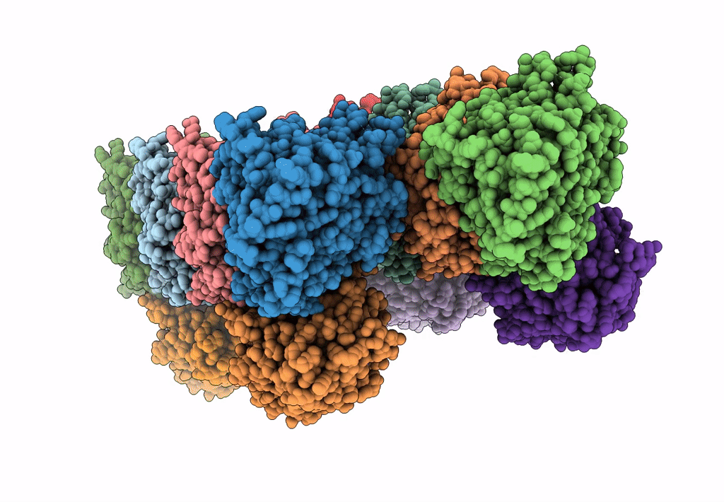 8IXG image