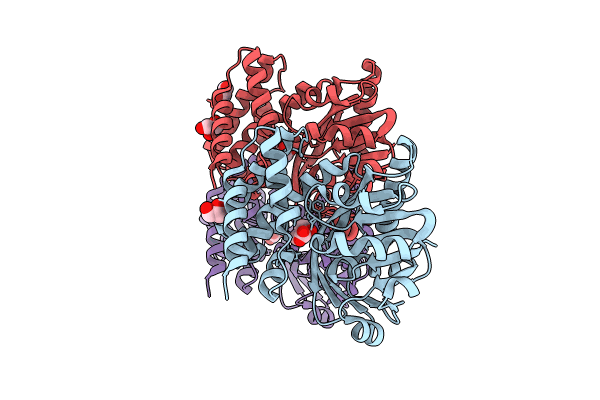 8IXH image