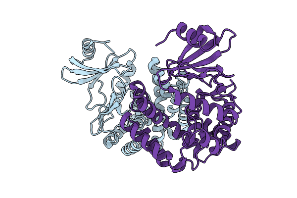 8IXI image