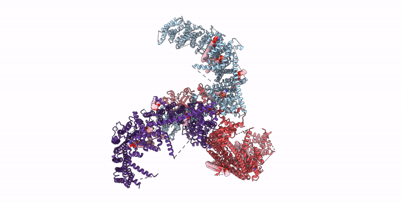 8IXN image