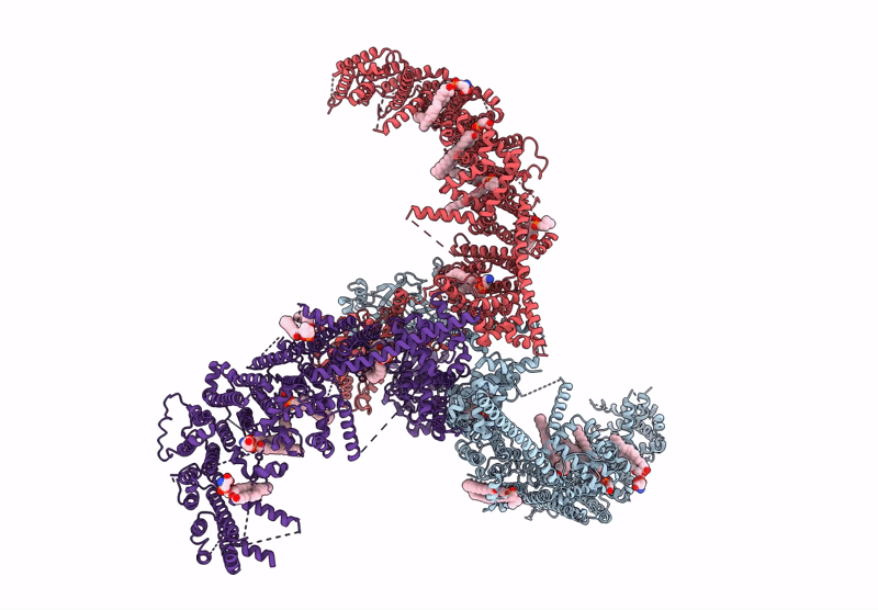 8IXO image