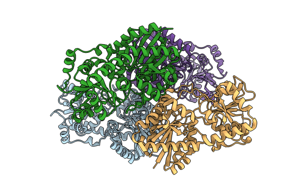 8IXP image