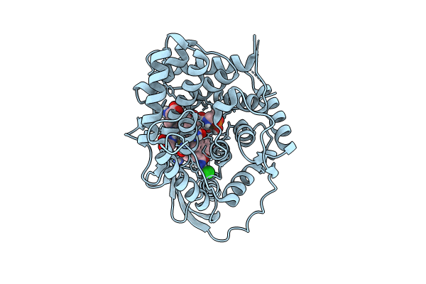 8IXT image