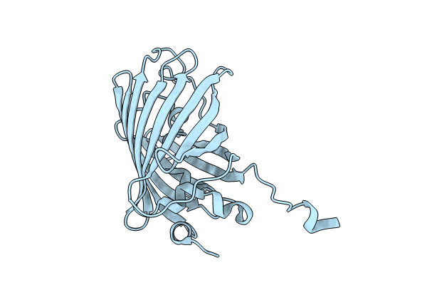 8IYY image