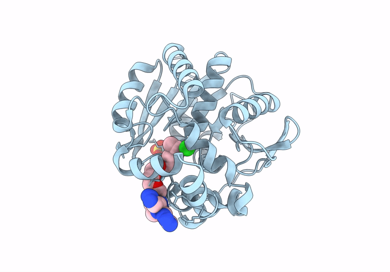 8J1O image