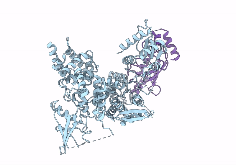 8J1R image