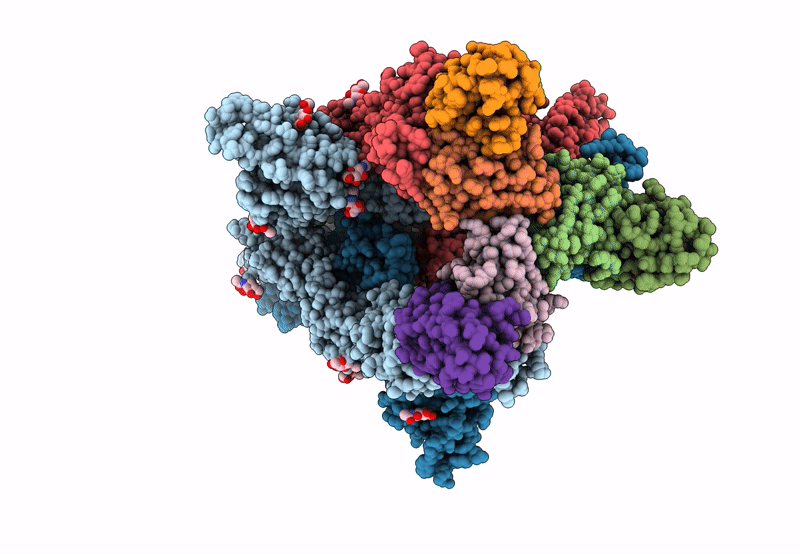 8J1V image