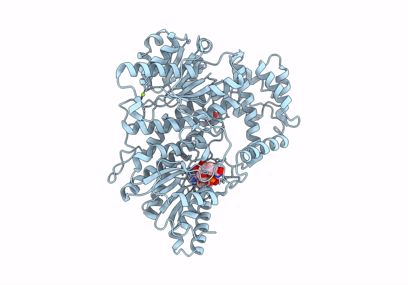 8J2A image