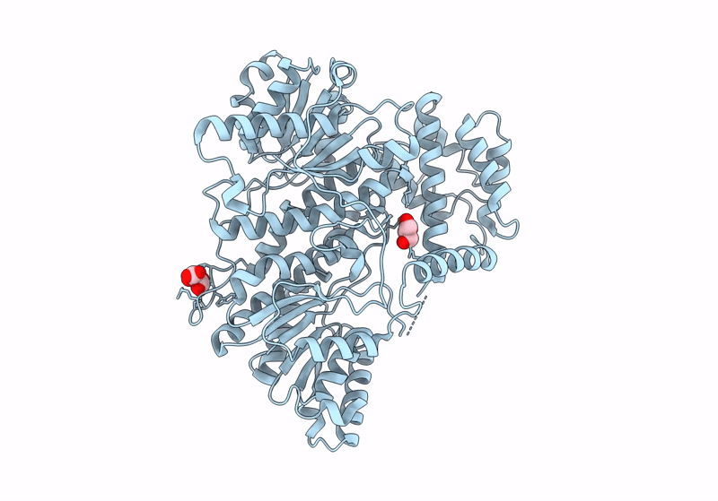 8J2C image