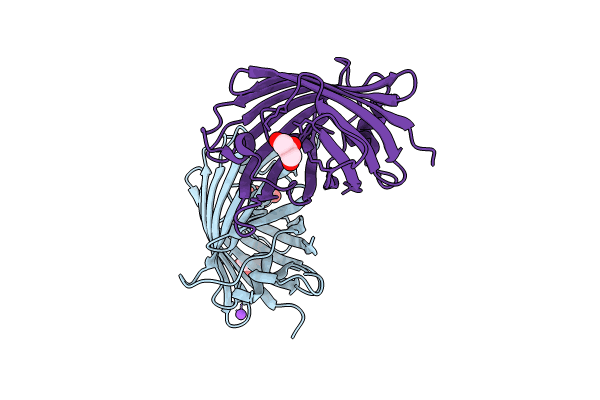 8J2H image