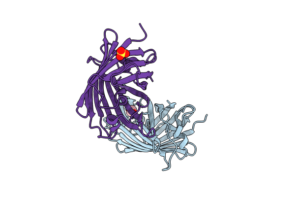 8J2J image