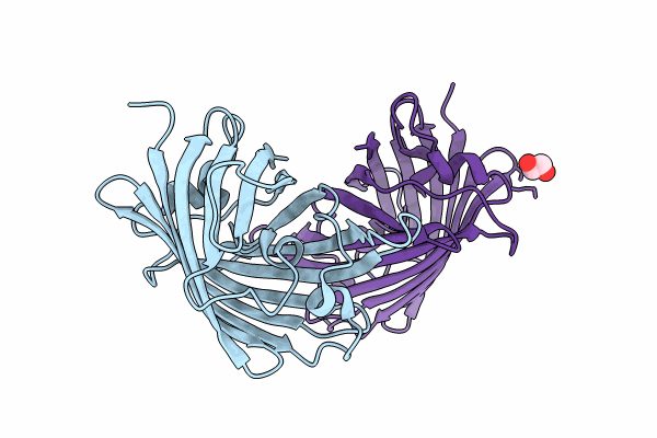 8J2K image