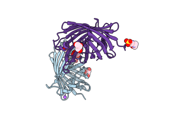 8J2L image