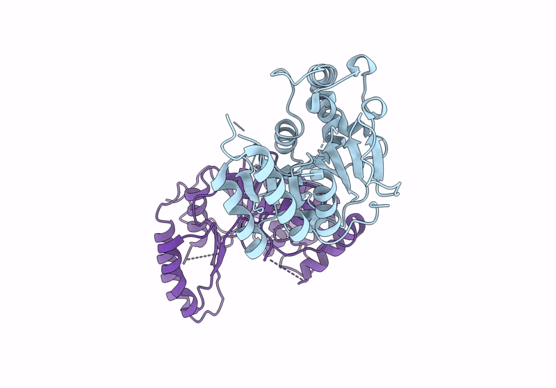 8J2N image