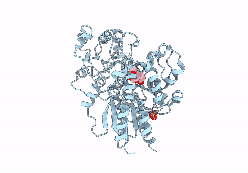 8J2V image