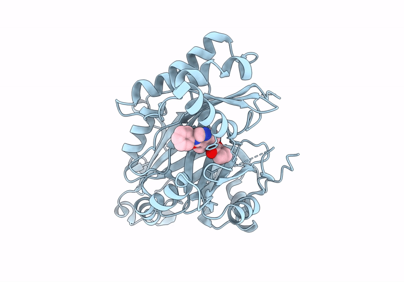8J3C image