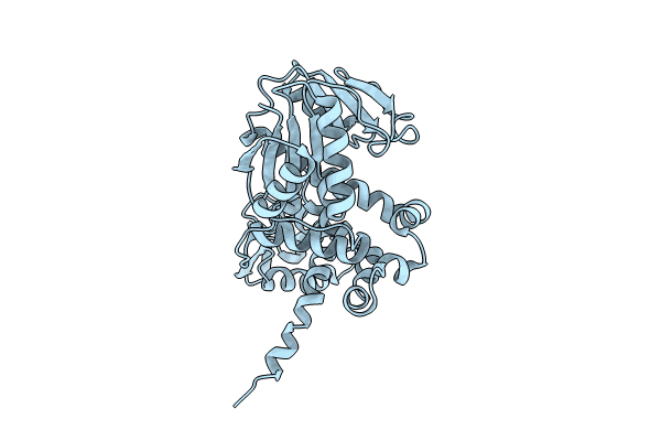 8J3I image