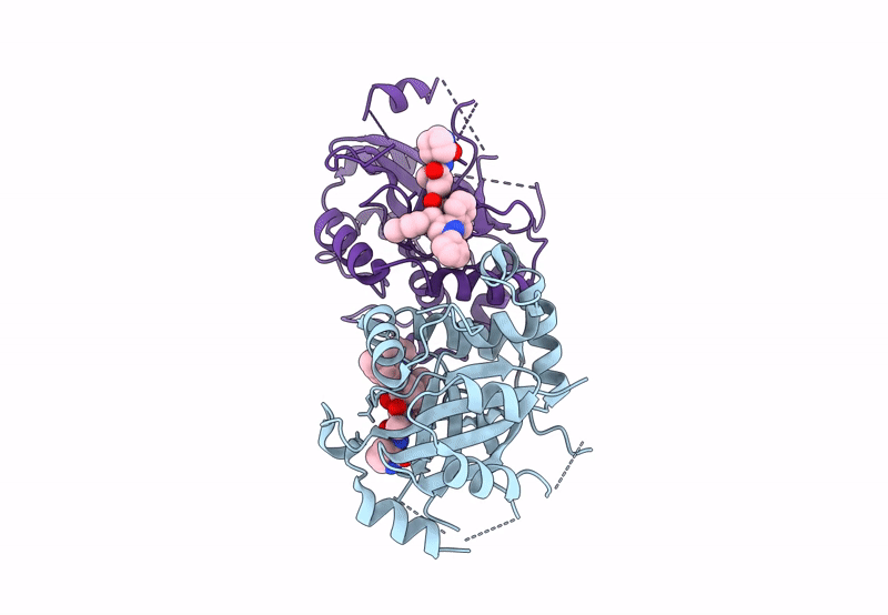 8J3T image
