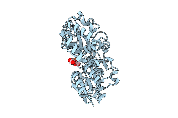 8J4J image