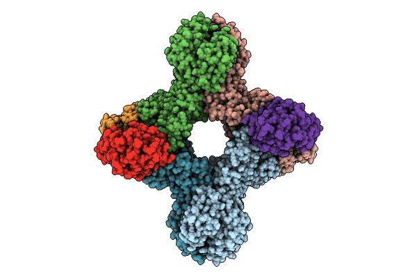 8J4T image