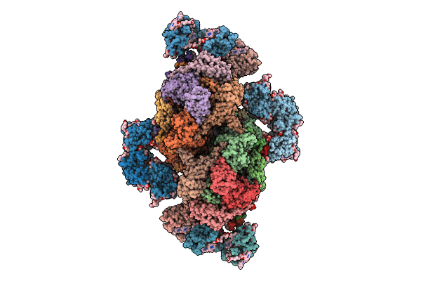 8J5K image
