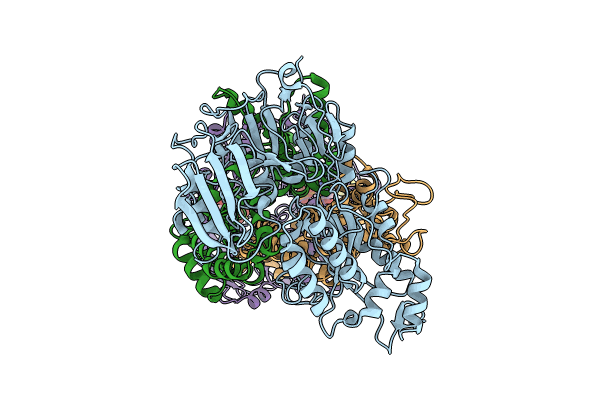 8J5T image