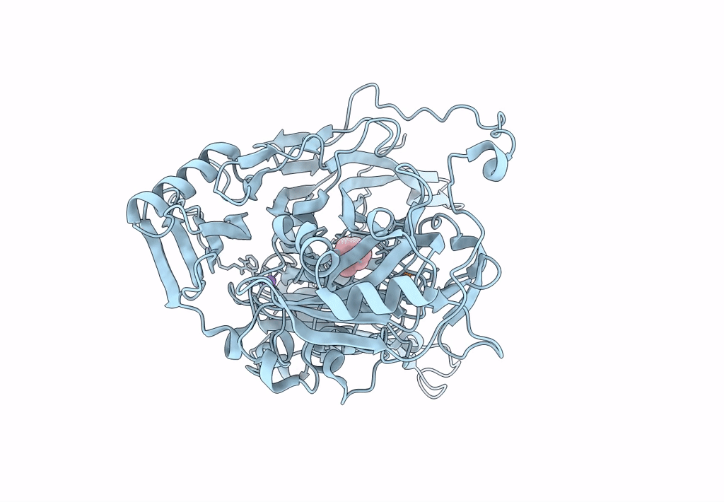 8J6G image