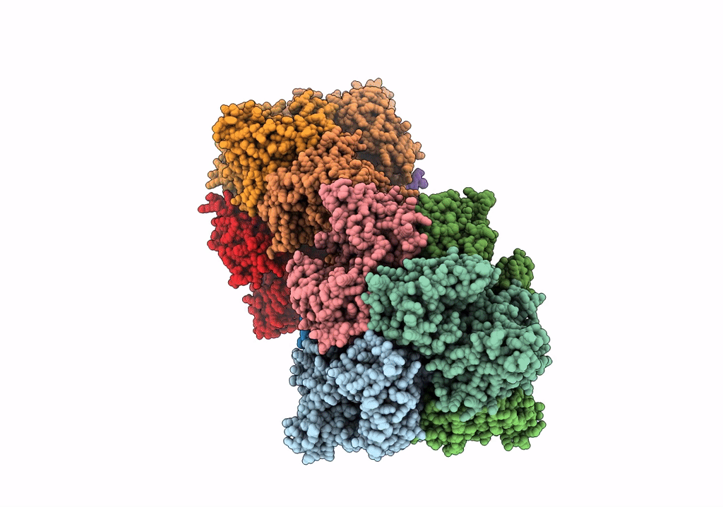 8J6V image