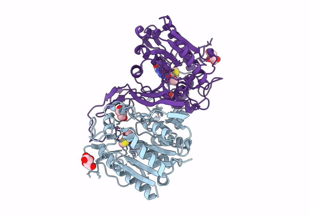 8J7K image