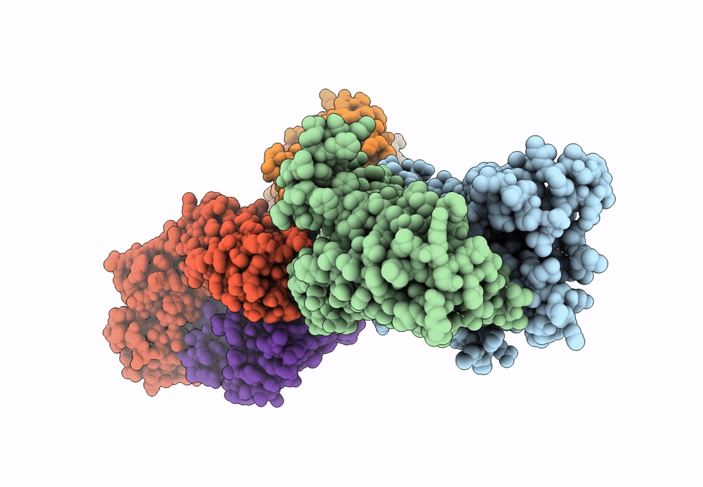 8J7V image