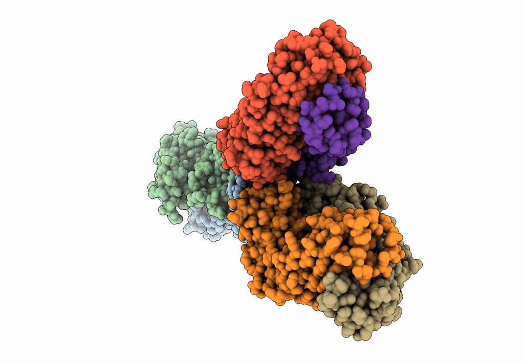 8J7X image