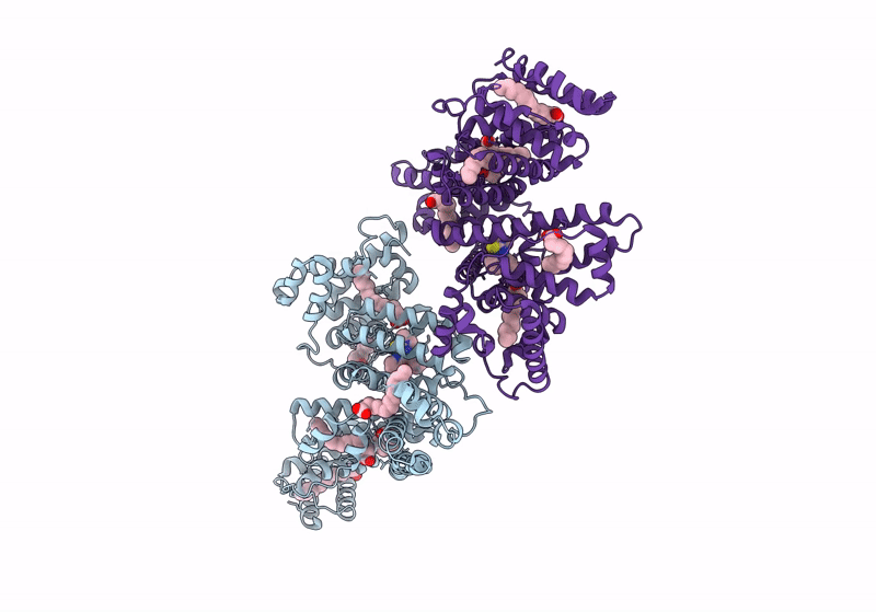 8J8E image