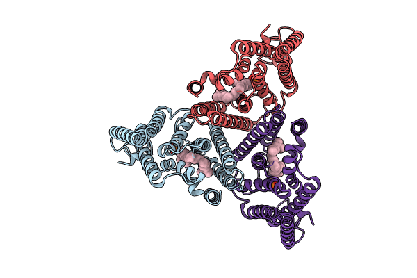 8J8K image