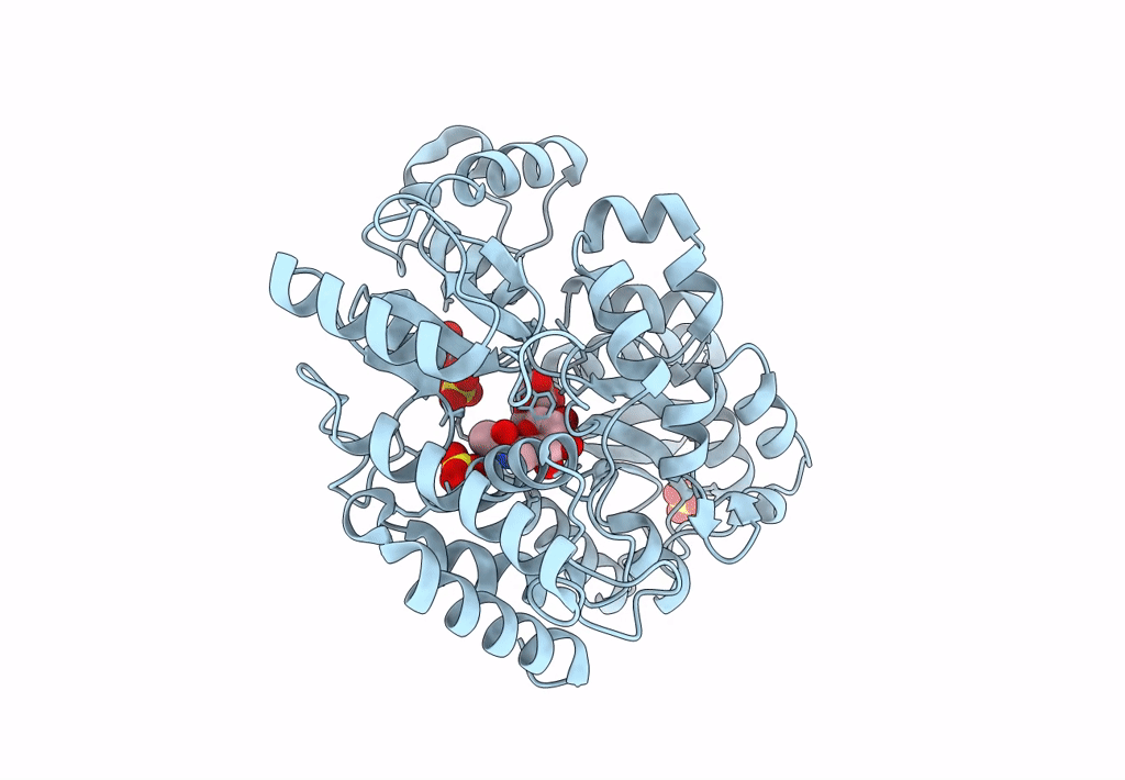 8JAC image